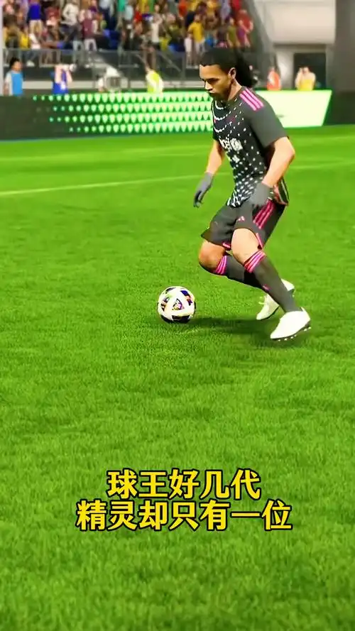 教练团队精
